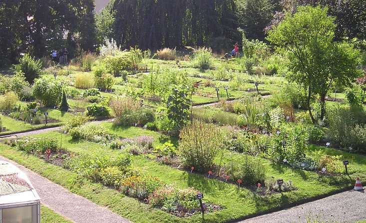 Botanická zahrada při VOŠ a SZEŠ, Tábor